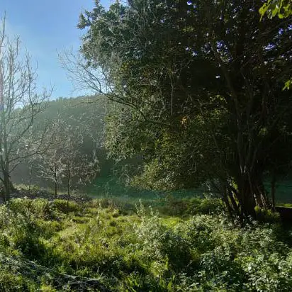 Activités passeurs de nature