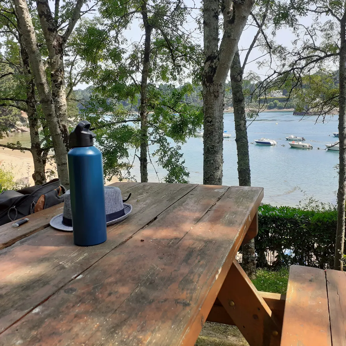 aire du Craqulais (2)