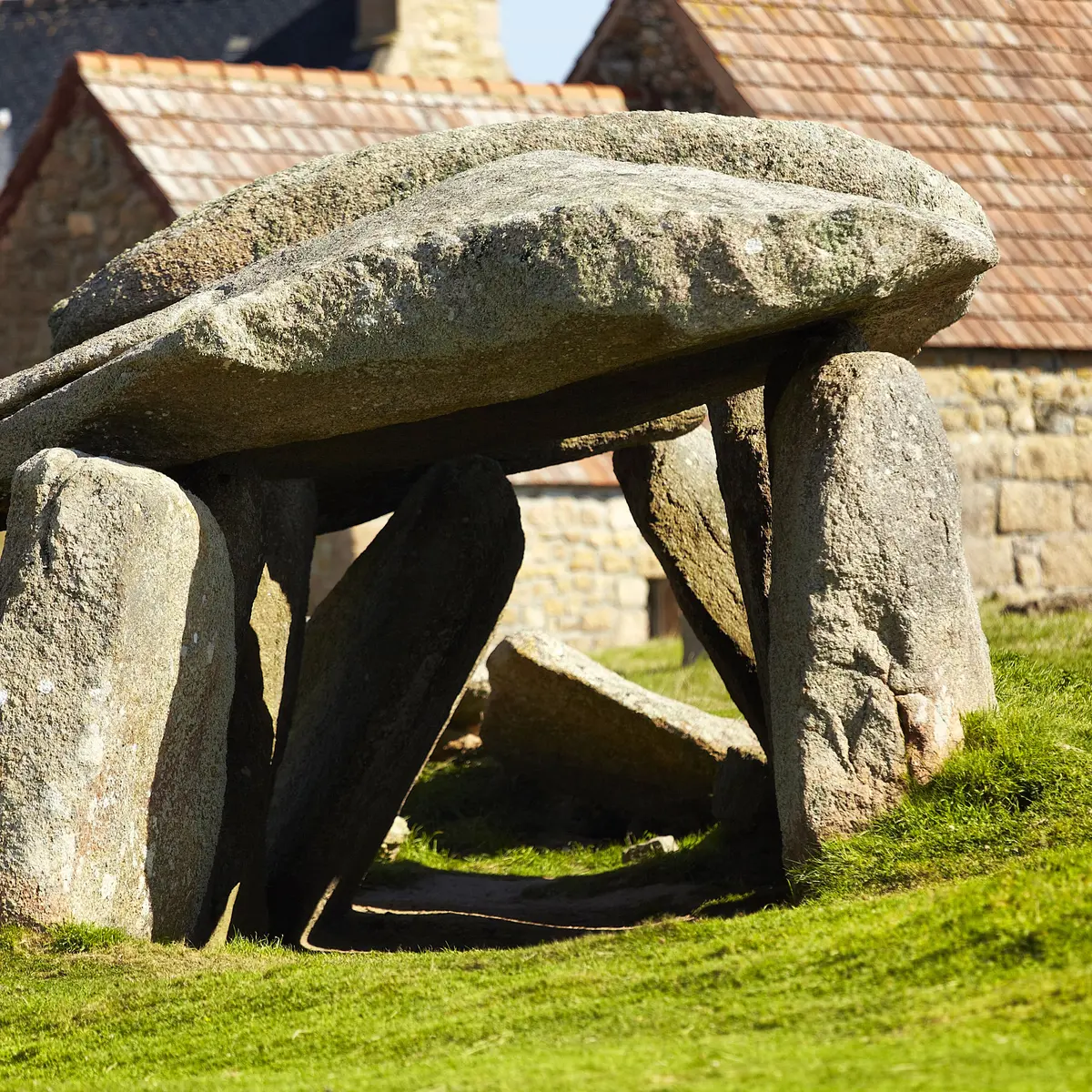 allée couverte de l'île Milliau