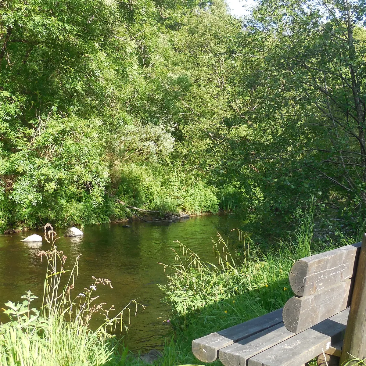 banc site des papeteries