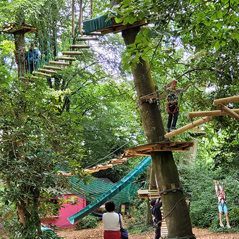 Bonobo Parc Accrobranche à Quimper