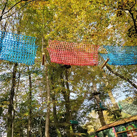 Bonobo Parc Accrobranche à Quimper