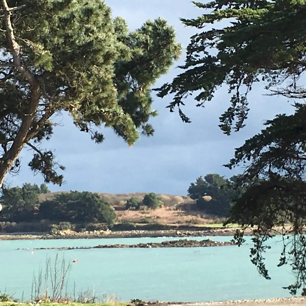 Bretagne-huitres 2019-1