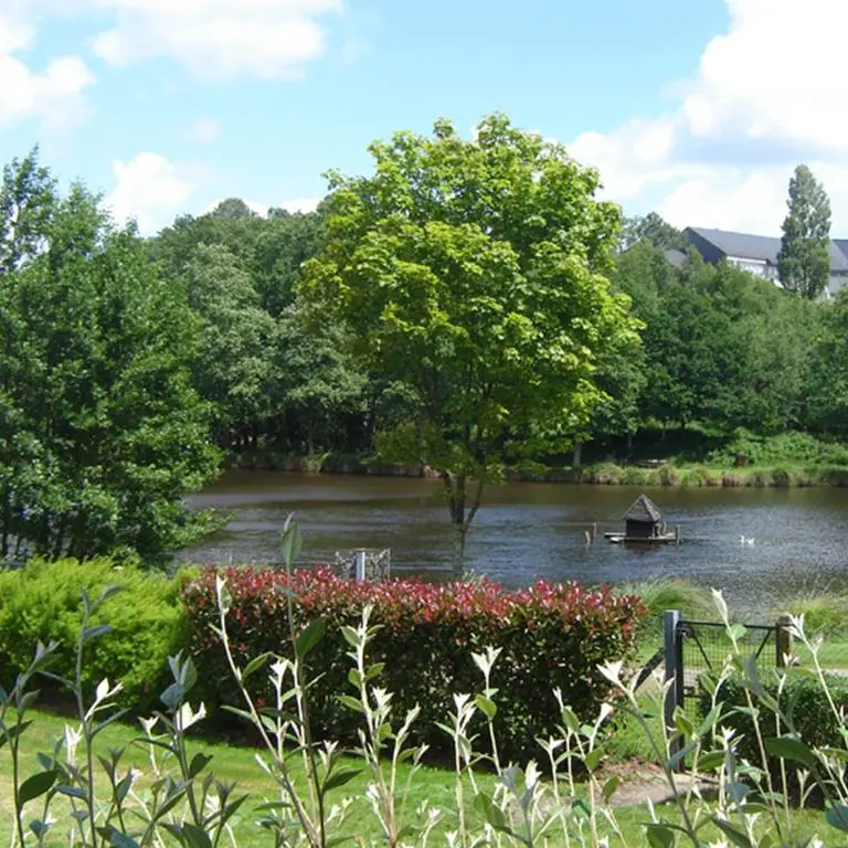 Etang de Célac - Questembert - Morbihan