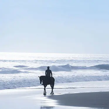 Centre équestre de la Torche - Plomeur - Pays Bigouden - Bigoudenjoy