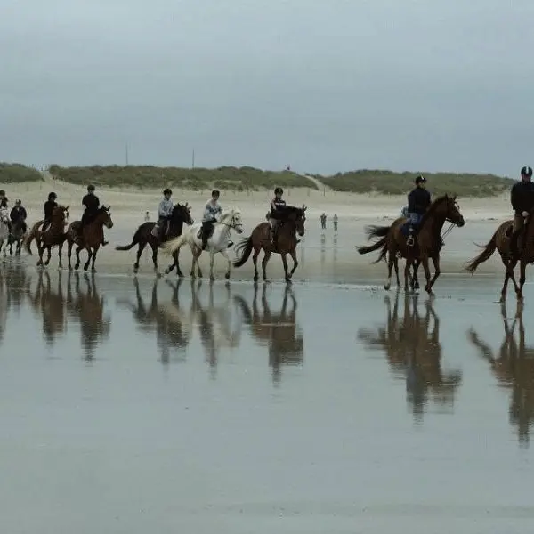 Centre équestre de la Torche - Plomeur - Pays Bigouden - Bigoudenjoy