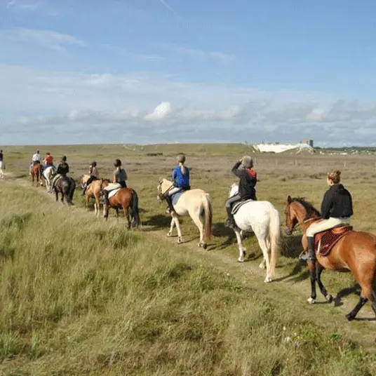 Centre équestre de la Torche - Plomeur - Pays Bigouden - Bigoudenjoy