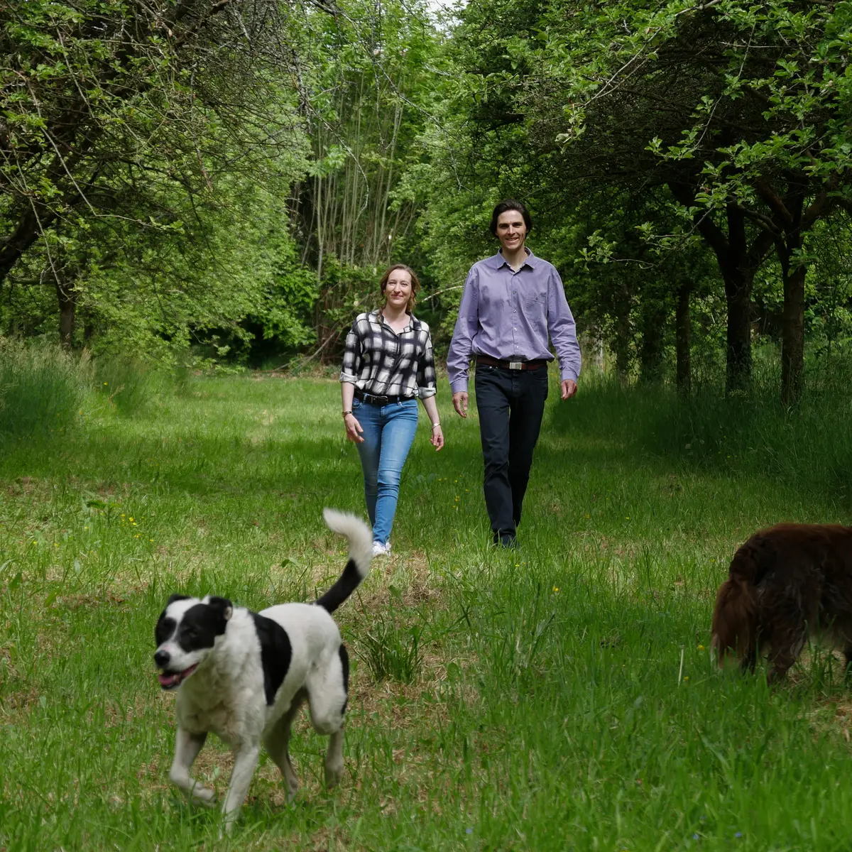 Cidrerie Les Vergers de Kermao - Marine et Brieug