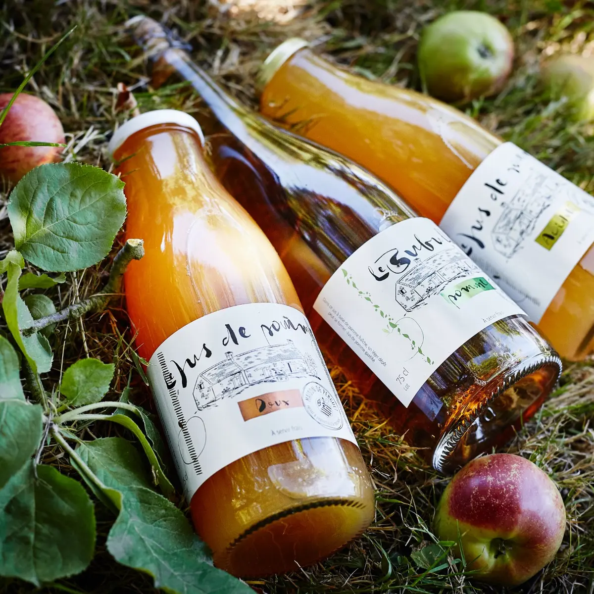 cidreriemaison de perguet1