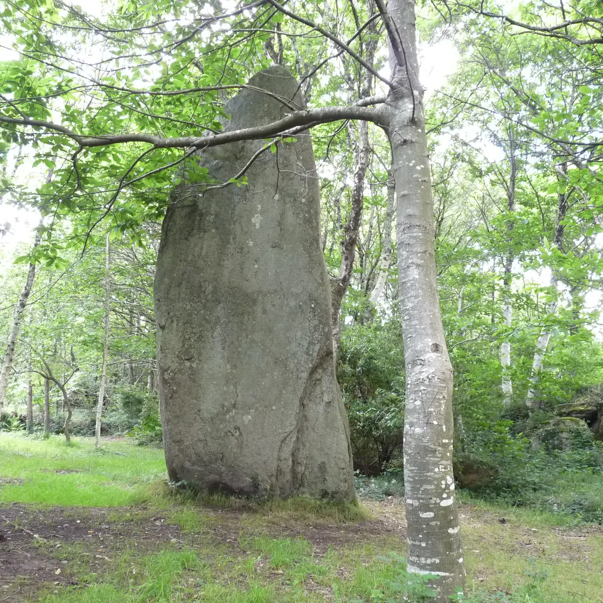 Boucle VTT n°5 Saint-Kodelig - Pouldreuzic - Pays bigouden