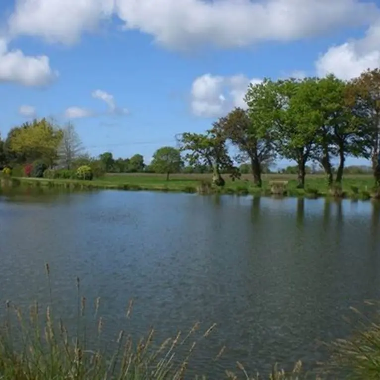 Etang de Berric - Morbihan -Bretagne Sud