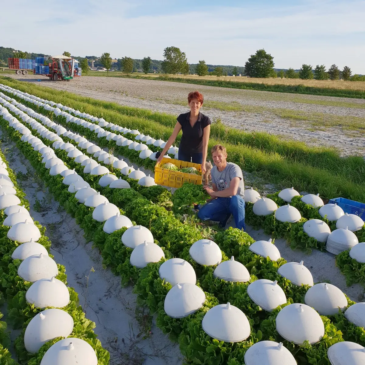 delices-de-la-campagne Le Vivier sur Mer