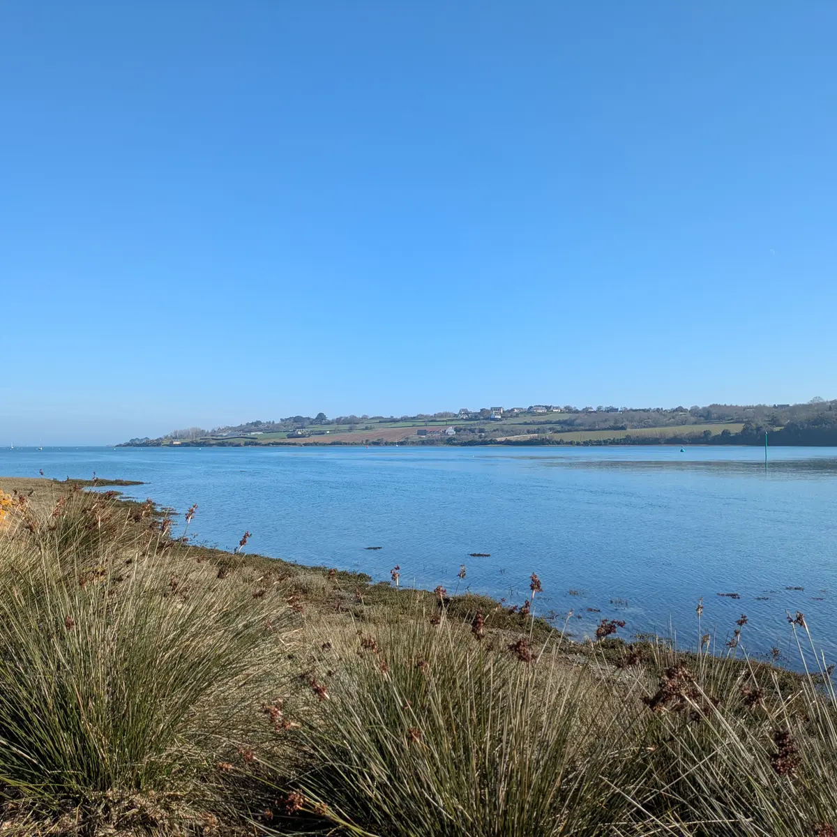 estuaire du jaudy (2)