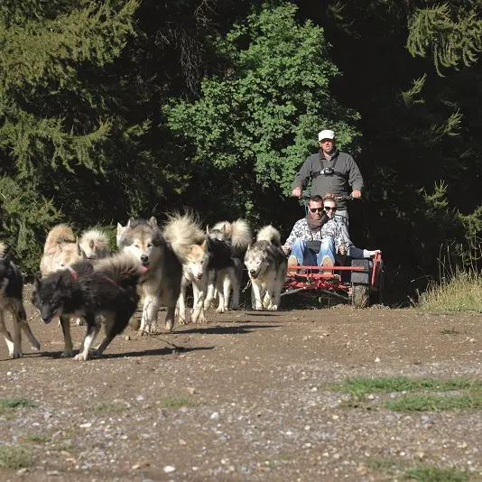 lounoocks 2-pouldreuzic