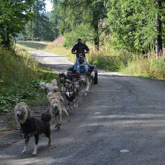 lounoocks 3-pouldreuzic