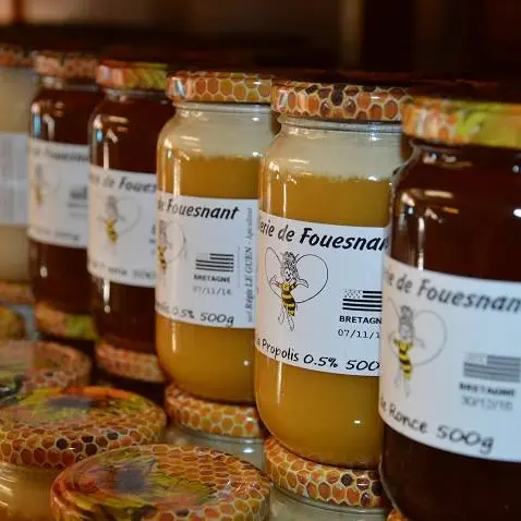 Miel de Fouesnant