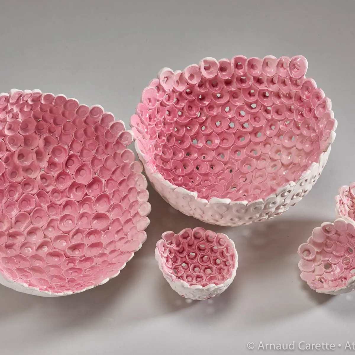 miss terre de l'ouest (1)