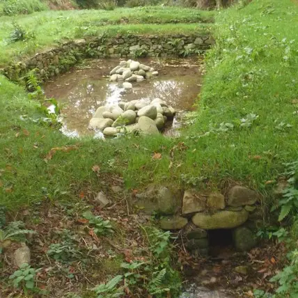 routoirs tredarzec (c) M Laizet