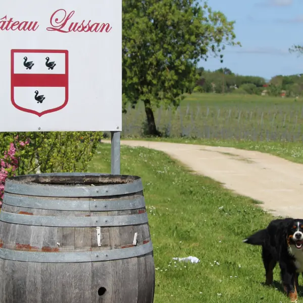 Château Lussan