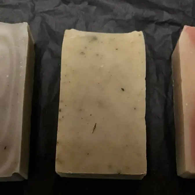 434455334_749451167275800_1190147491457220871_n