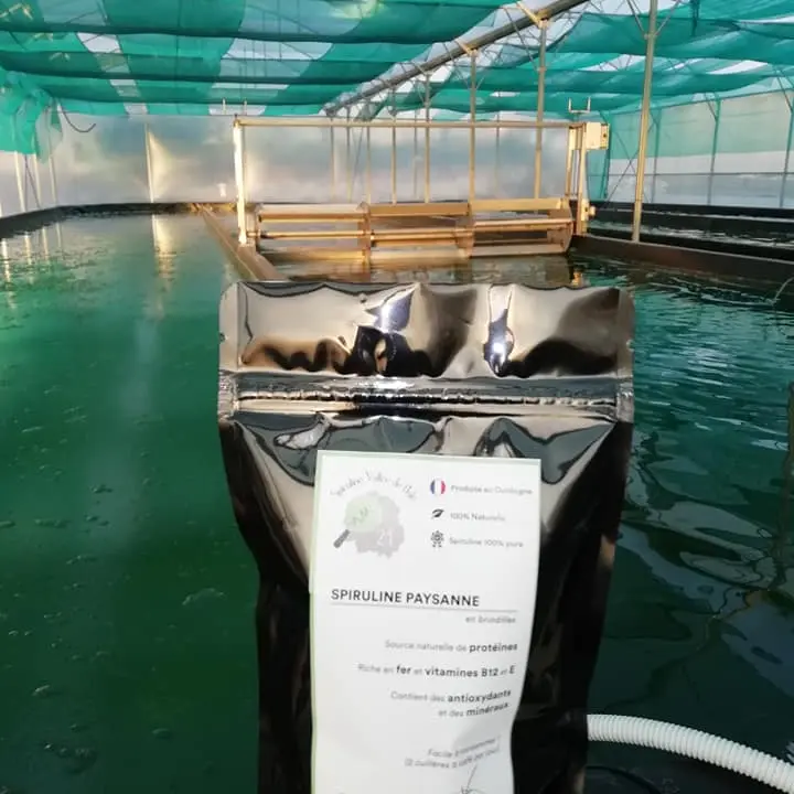 Sachet spiruline