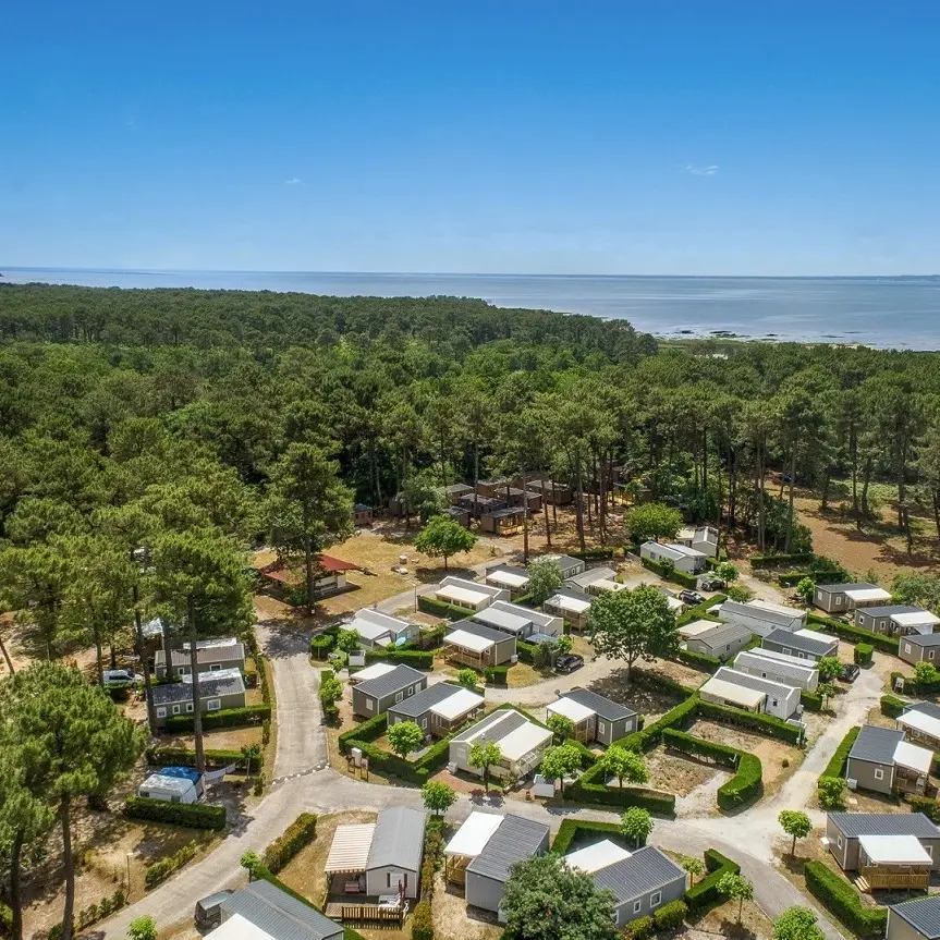 ©Les goélands - vue aérienne