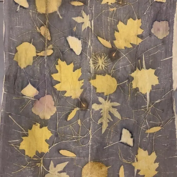 Ecoprint 02