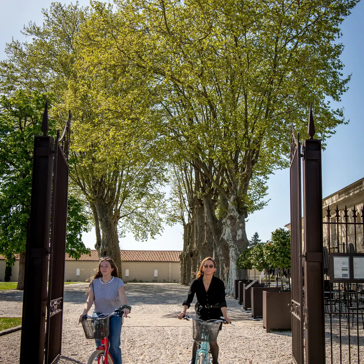 0363_marquisdeterme_artiste-associe_photographes_bordeaux_19042022