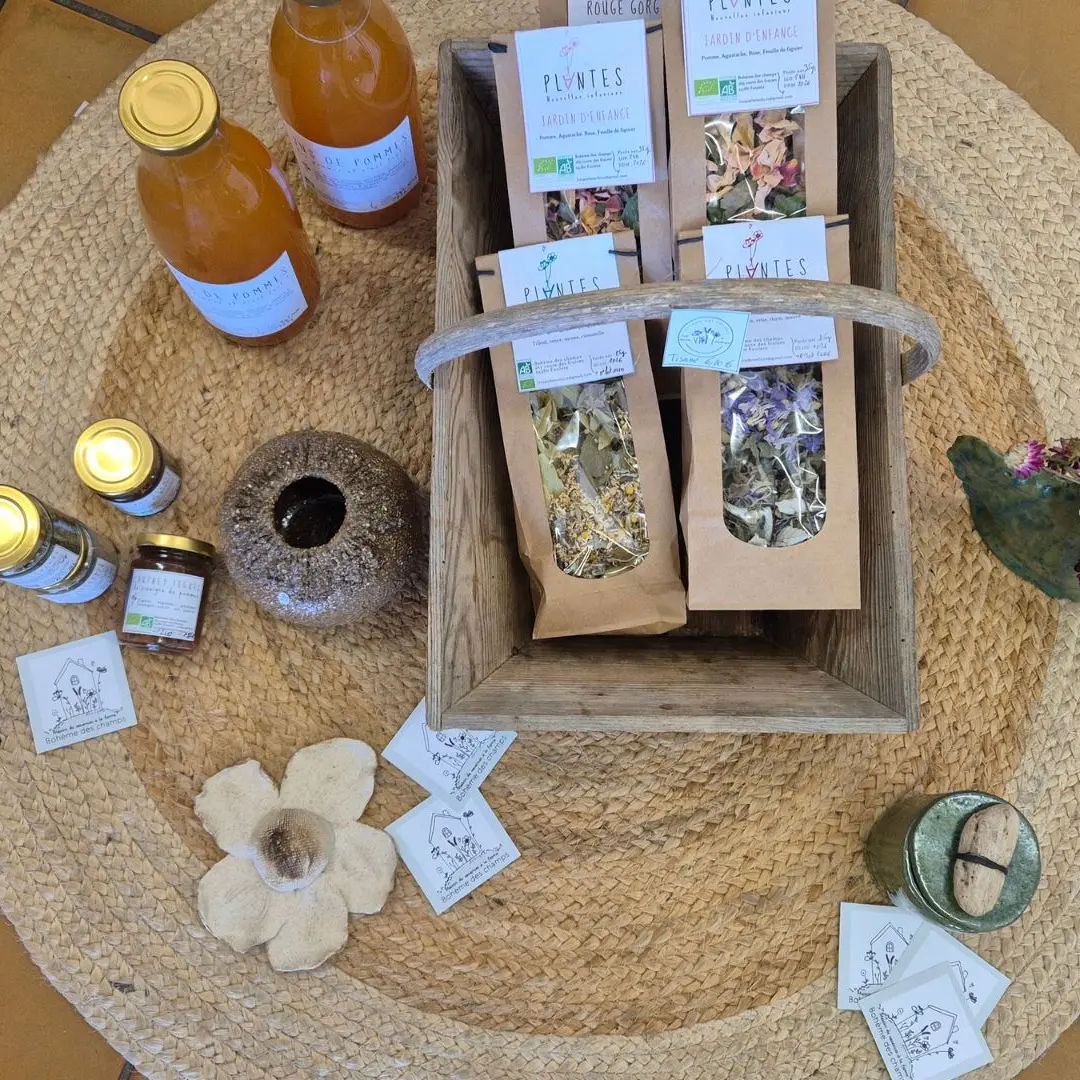 bohème des champs (1920 x 1080 px) - 2