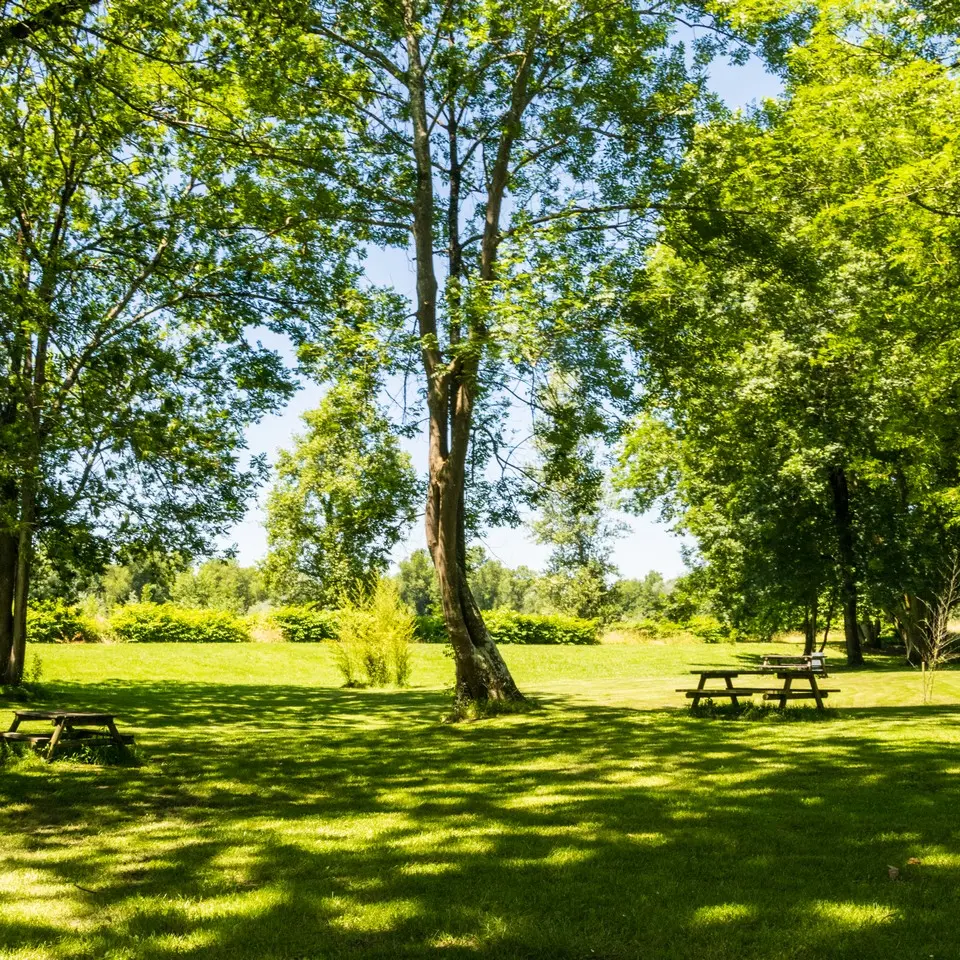 Aire de pique-nique - Denguin - les tables