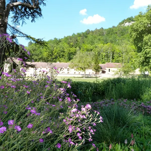 campagne 5