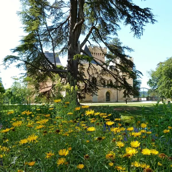 campagne 6