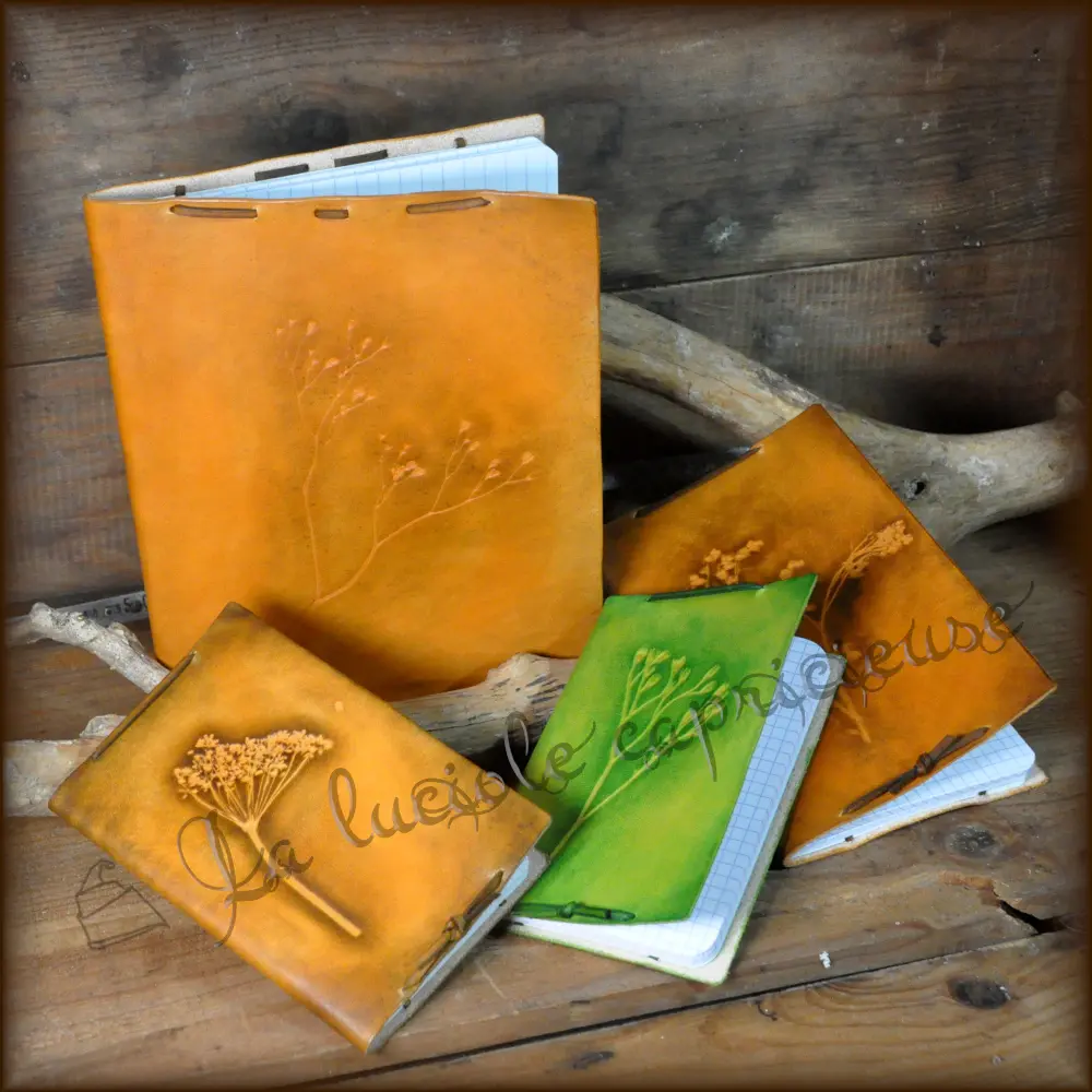 2026 Tifaine Nadot Saint André de Double (2)