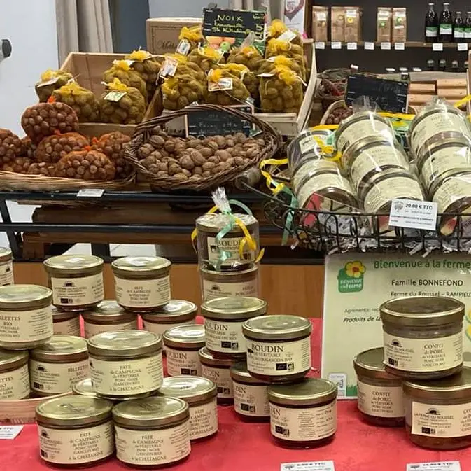 345252079_628314255461137_3418775081324738847_n