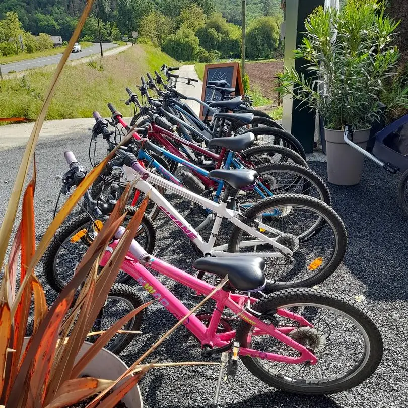 ASCA_VélO'BISON