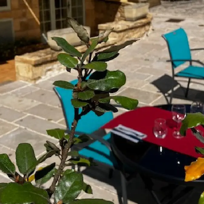 Bistrot Saint capraise 1