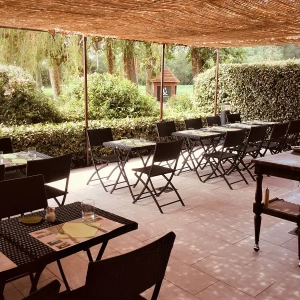 Brin-de-thym-terrasse