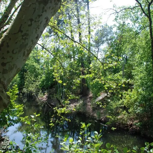 Canal des Landes