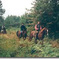 Centre Equestre de la haute Yerle-Alles2