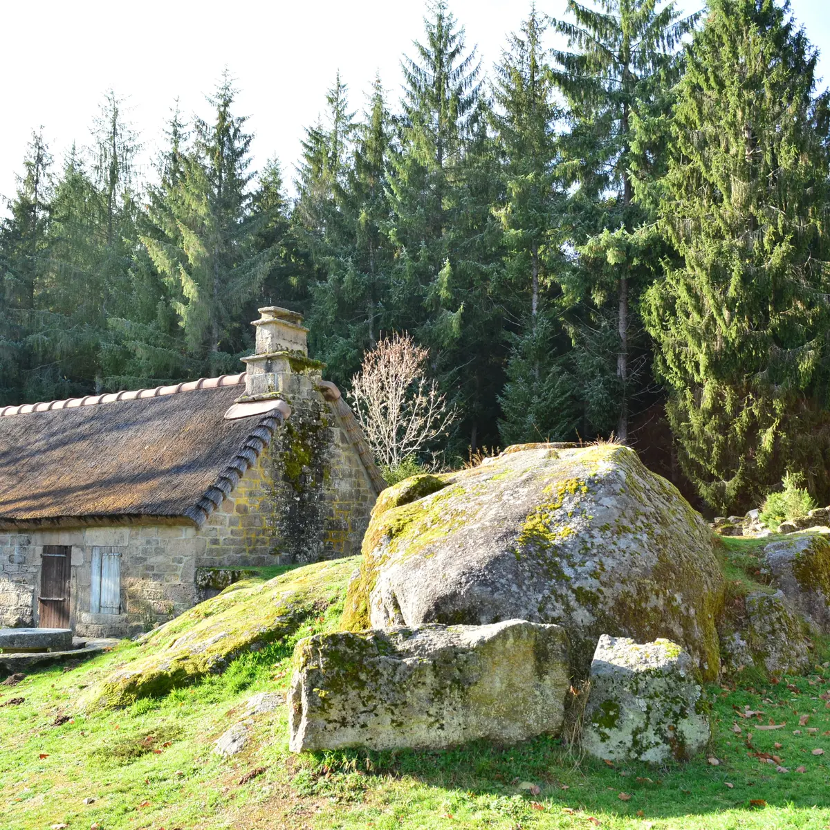 Chaumière 2 Clédat © Catherine QUIROGAT