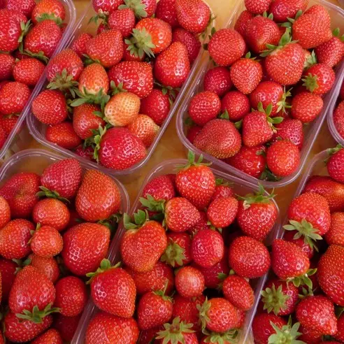 Dartenset fraises