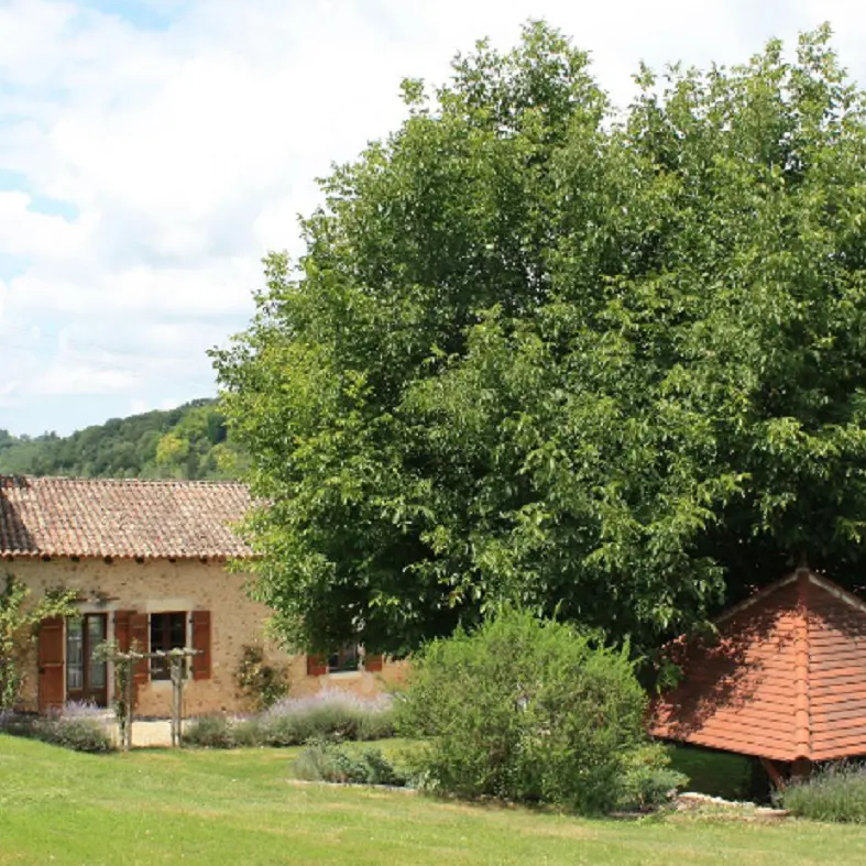 Domaine du Bourg Salon 2