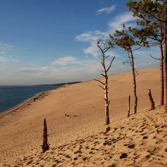 Dune du Pilat