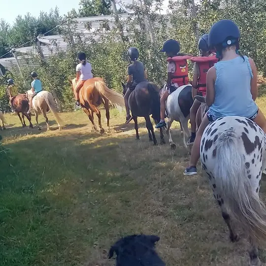 Eperon Laurentais 2023 - Groupe balade pommiers