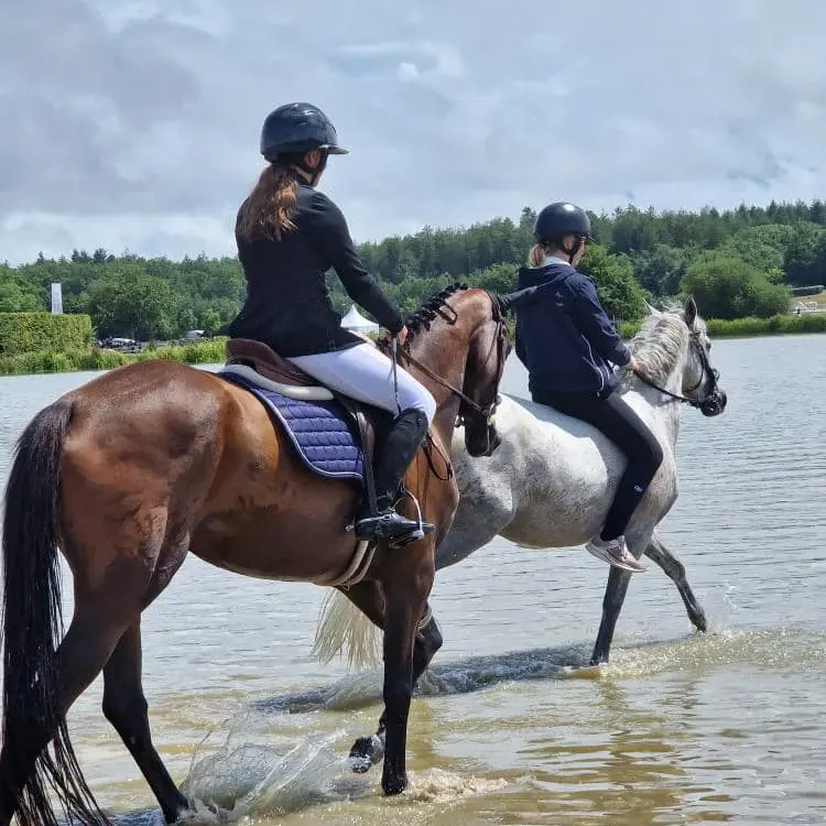 Haras du mas 1
