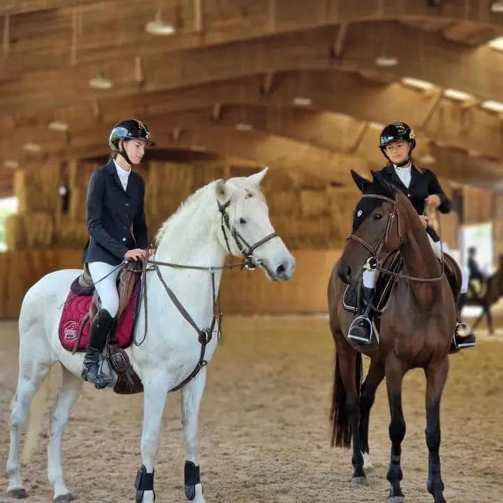 Haras du mas 2
