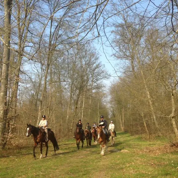 Ferme de sapharey