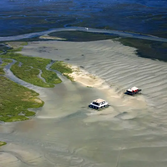 Ile aux oiseaux