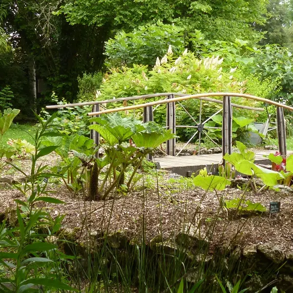 Jardin botanique d'ALAIJE Tourbière