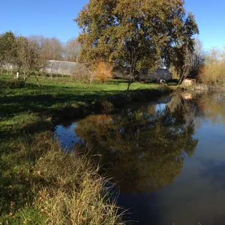 Jardin-bio-St-Martin-Vue-Domaine